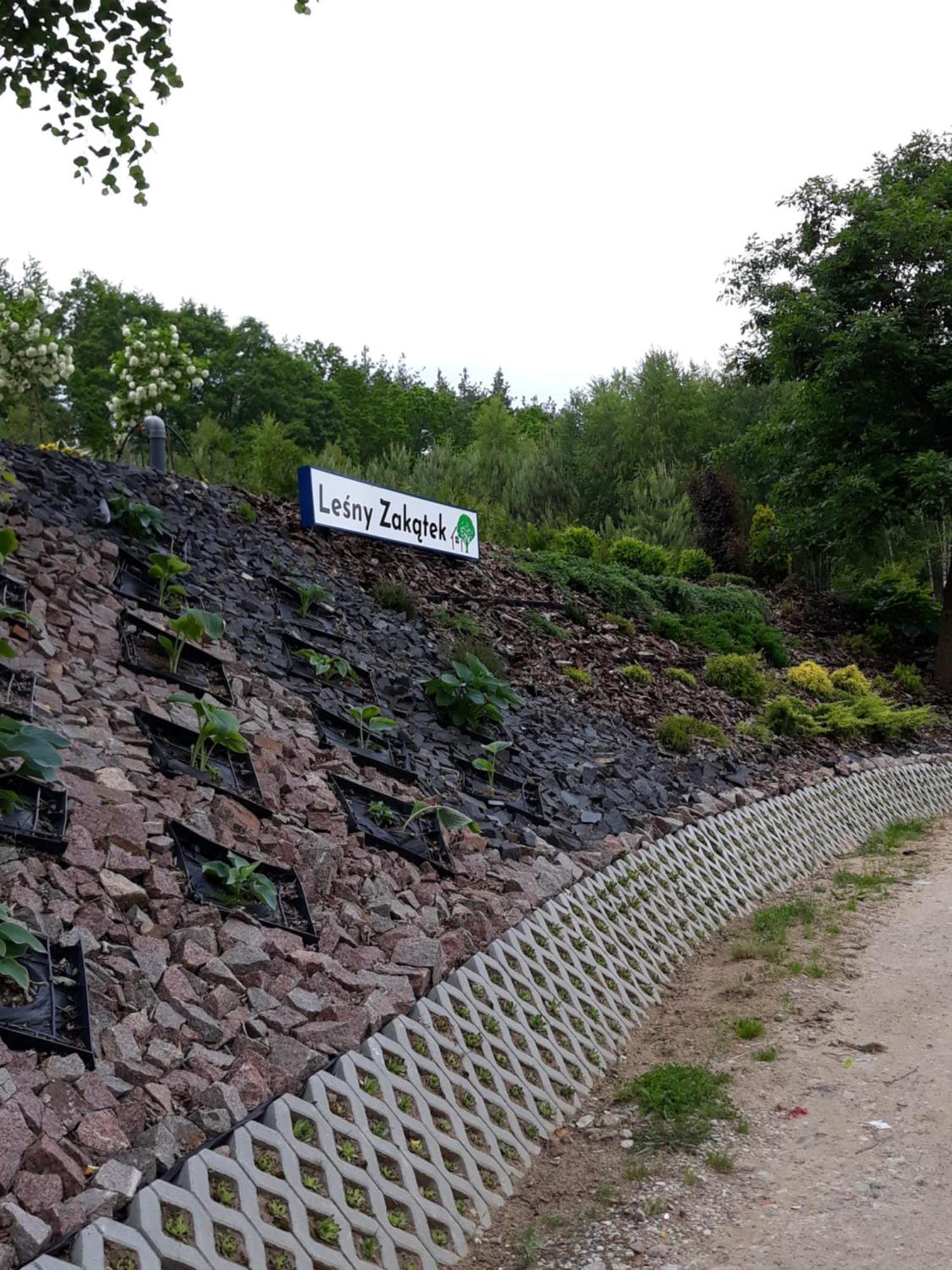 Lesny Zakatek- Domek Lipa Parchowo Kültér fotó