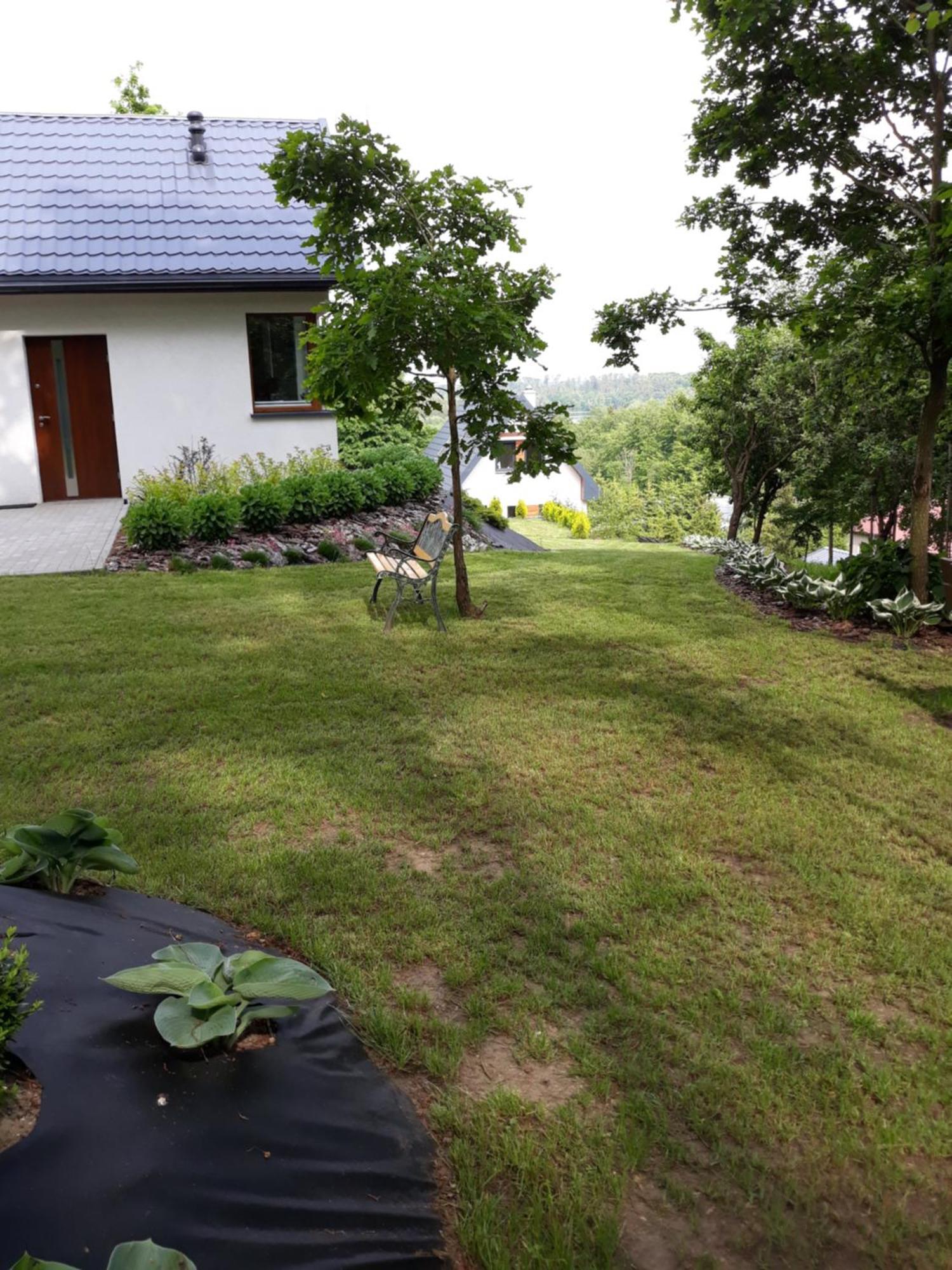 Lesny Zakatek- Domek Lipa Parchowo Kültér fotó